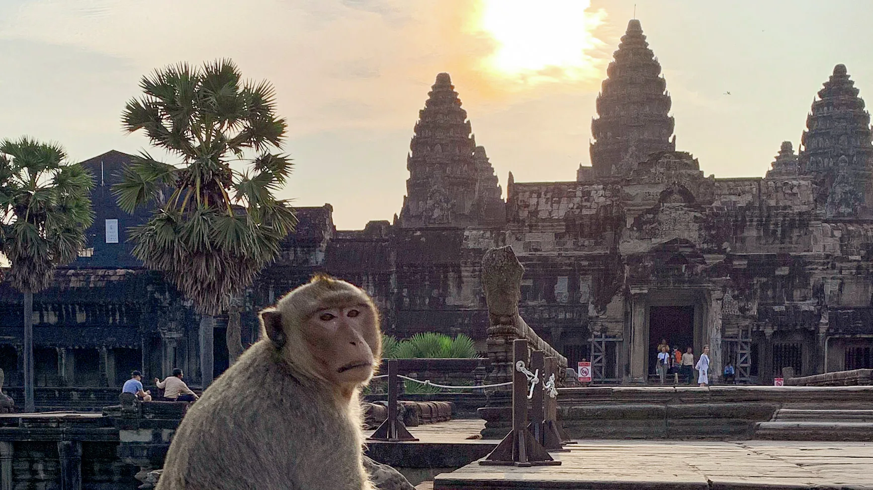 How to visit Angkor Wat